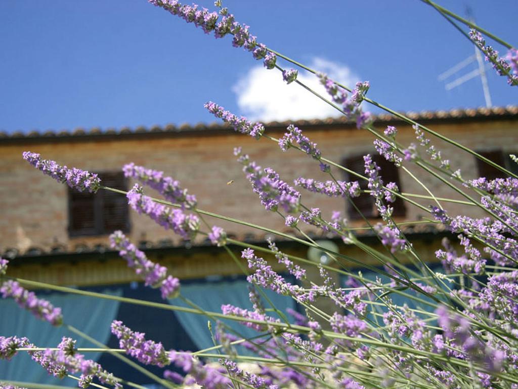 Villarondanella Fermo Exterior photo